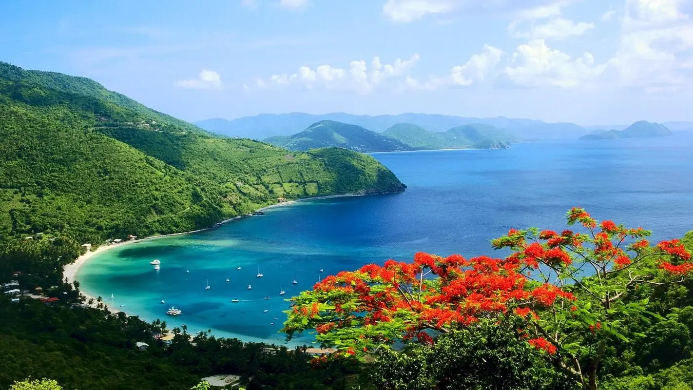 节能自动化绿色